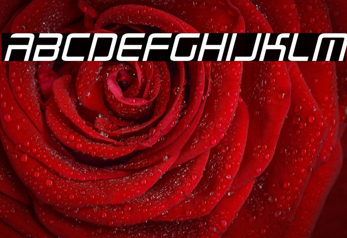 Radio Space Italic Example 3