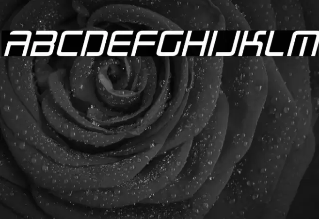 Radio Space Italic Font examples