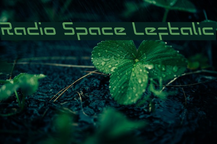 Radio Space Leftalic Example 1