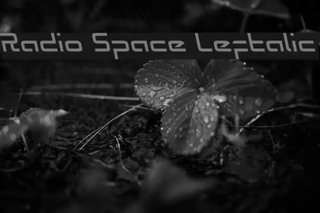 Radio Space Leftalic Font examples