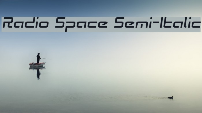 Radio Space Semi-Italic Font examples