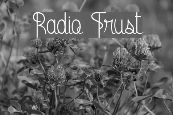 Radio Trust Font examples