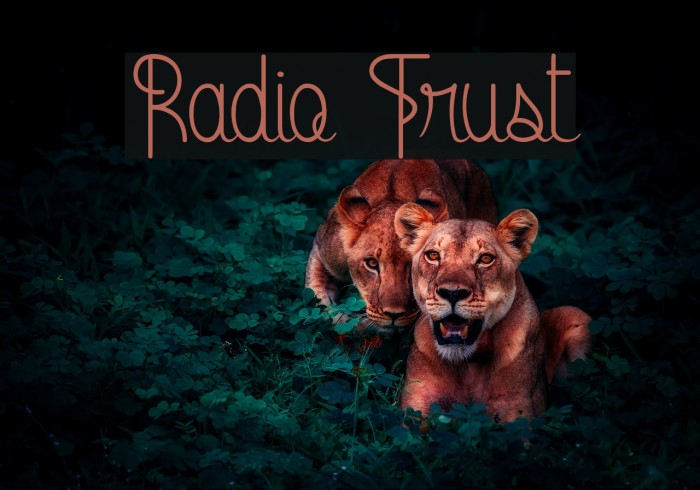 Radio Trust Example 2