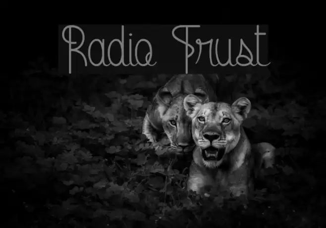 Radio Trust Font examples