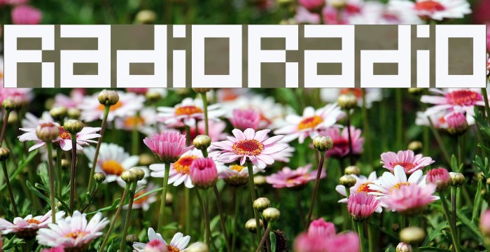 RadioRadio Font examples