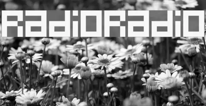 RadioRadio Schriftart examples