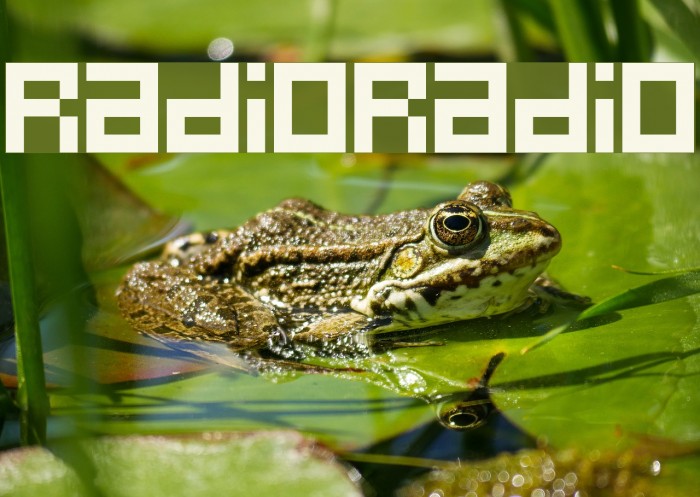 RadioRadio Font examples