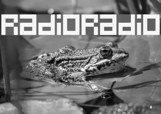 RadioRadio Schriftart examples