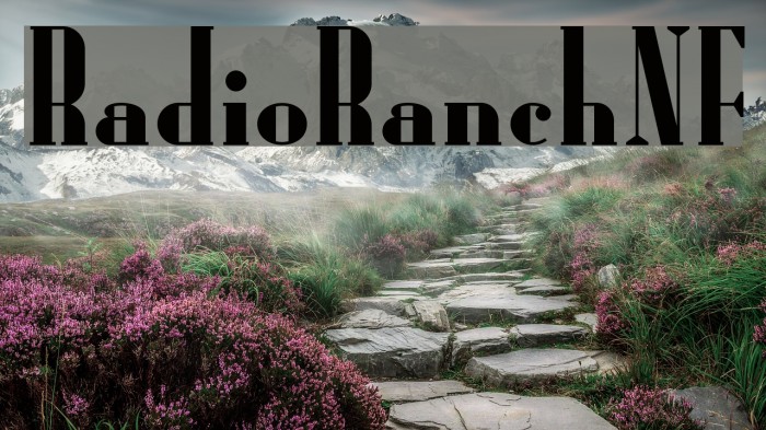 RadioRanchNF Example 3