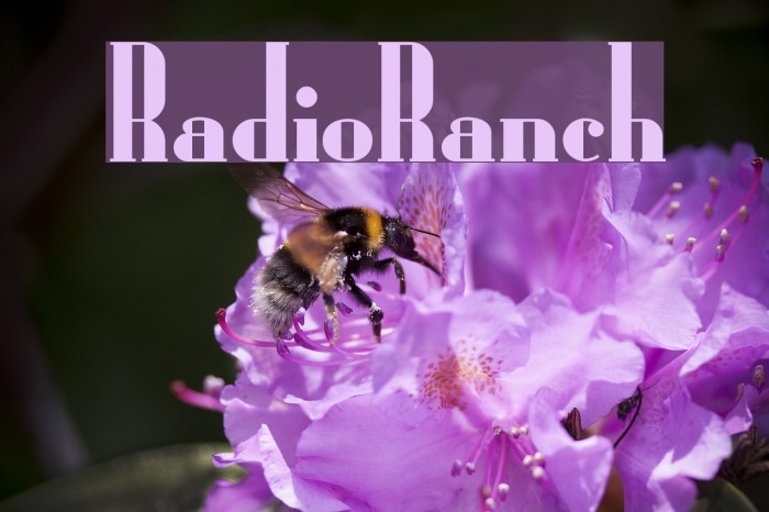 RadioRanch Font examples