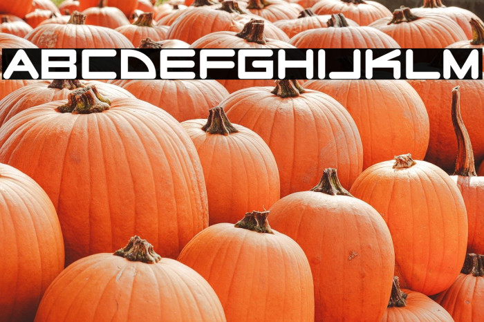 RadioStars-Regular Example 1