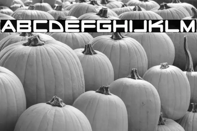 RadioStars-Regular Font examples