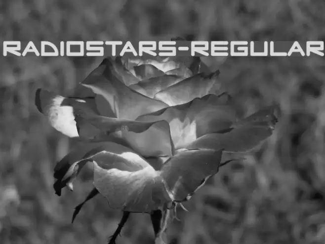 RadioStars-Regular Font examples