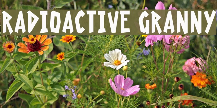 Radioactive Granny Font examples