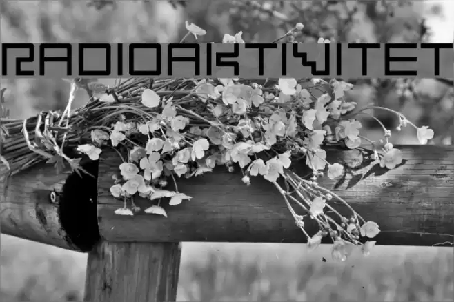 Radioaktivitet Polices examples