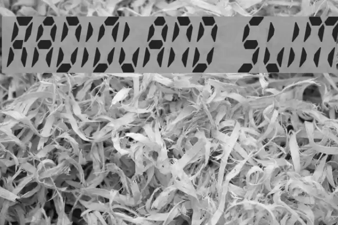 Radioland Slim Font examples