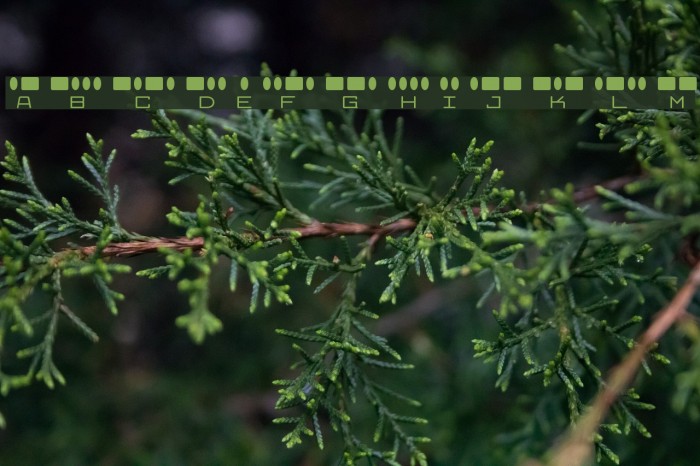 Radios in Motion Font examples