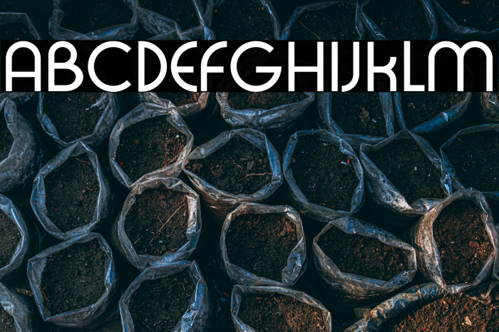 Radis Sans Example 3