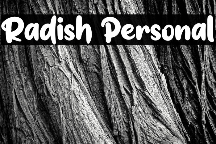 Radish Personal Example 3