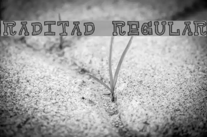Raditad-Regular Font examples