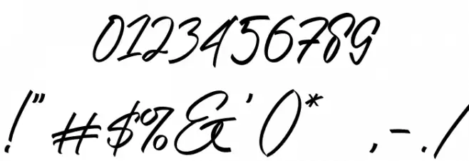 Radith Font OTHER CHARS