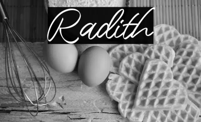 Radith Font examples