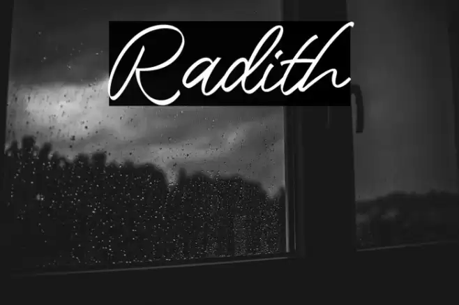 Radith Font examples