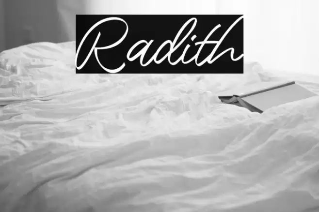 Radith Font examples