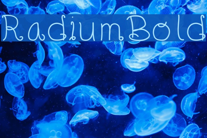 RadiumBold Font examples