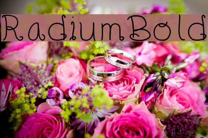RadiumBold Font examples