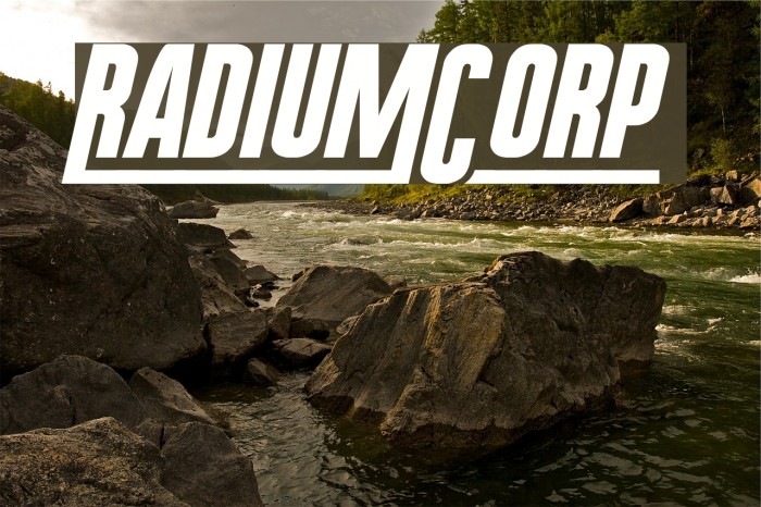 RadiumCorp Example 1