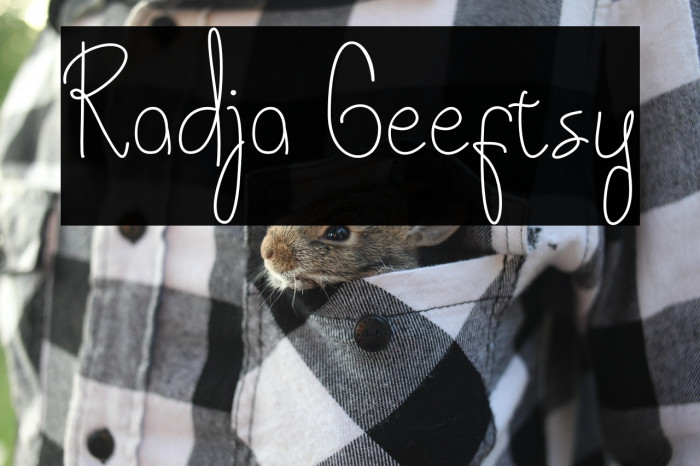 Radja Geeftsy Example 1