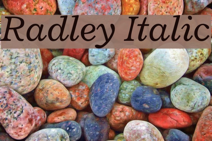 Radley Italic Font examples