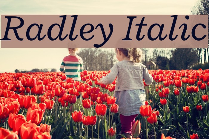 Radley Italic Font examples