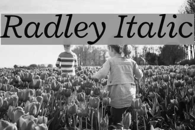Radley Italic フォント examples