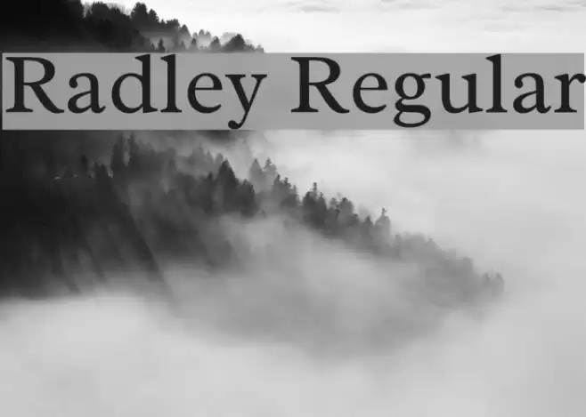 Radley Regular Font examples