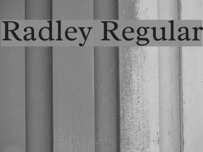 Radley Regular Font examples
