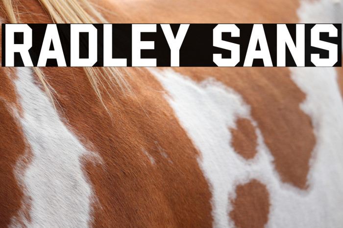 Radley Sans Example 1