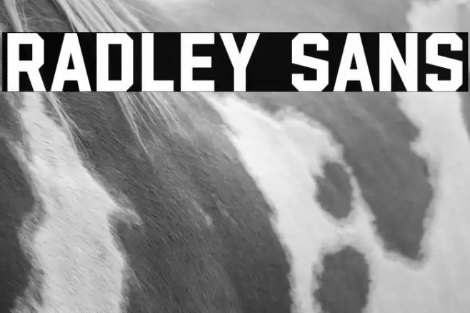 Radley Sans Font examples
