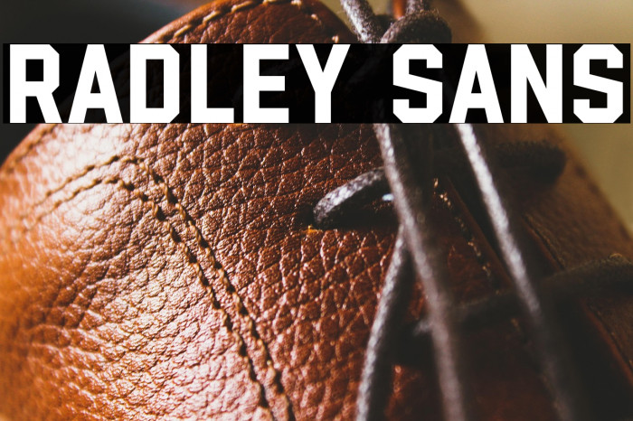 Radley Sans Example 2