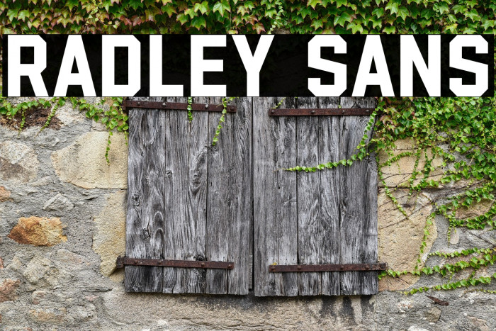 Radley Sans Example 3