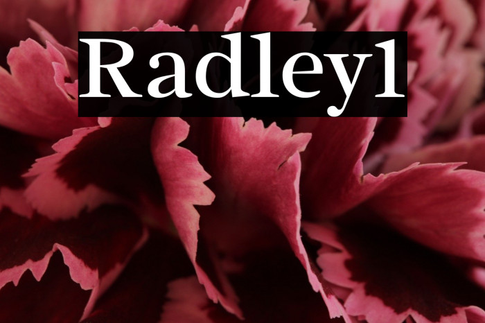 Radley1 Example 2