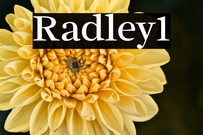 Radley1 Example 3