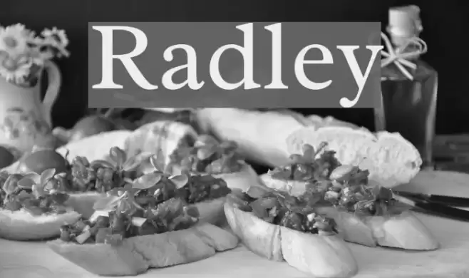 Radley Font examples