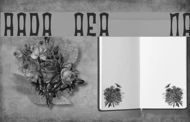 Radonator Anorexia Normal Schriftart examples