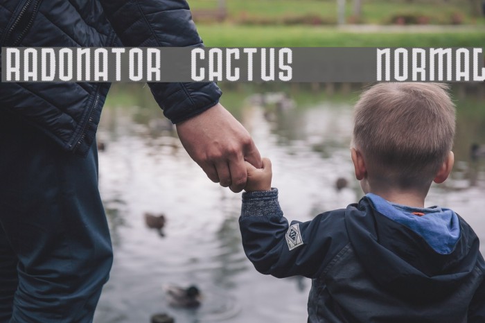 Radonator Cactus Normal Font examples