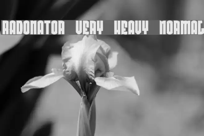 Radonator Very Heavy Normal خط examples