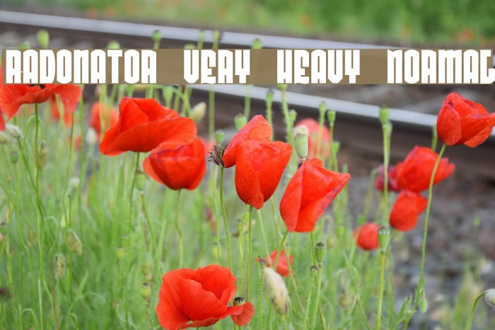 Radonator Very Heavy Normal Font examples