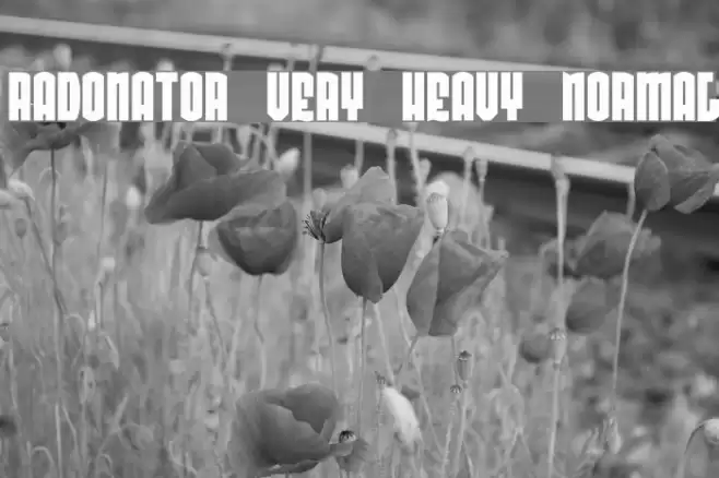 Radonator Very Heavy Normal خط examples