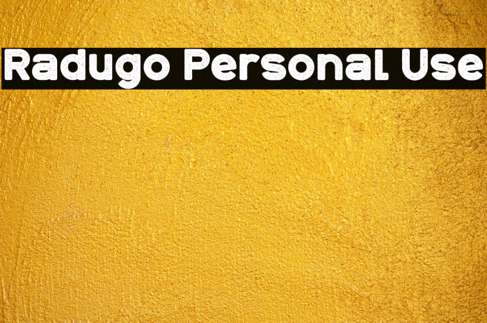 Radugo Personal Use Example 1